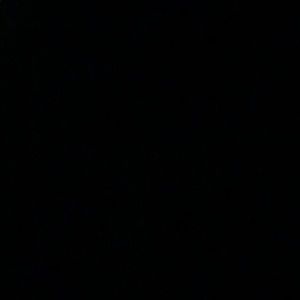 Meet your Posher, Angelina